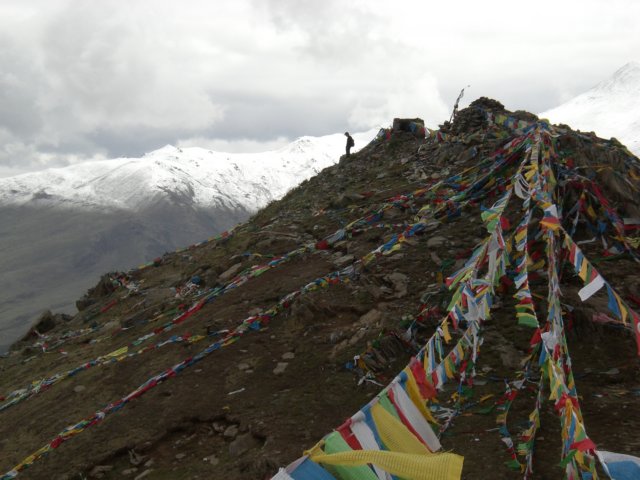 tibetsummer200752.jpg
