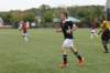 paddy1023x682_small.jpg