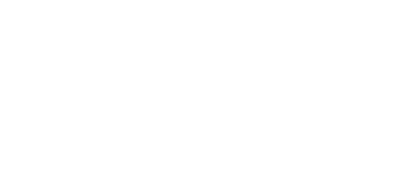 Stevens Institute of Technology