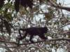 costarica127_small.jpg