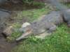 dsc02781_small.jpg