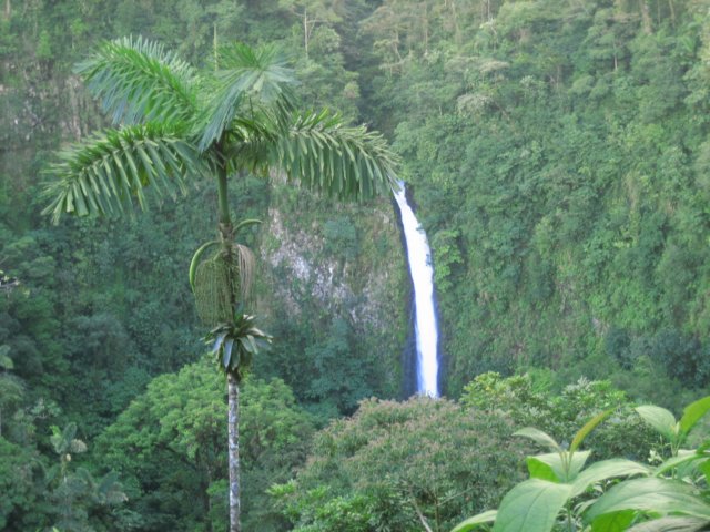 photo.jpg