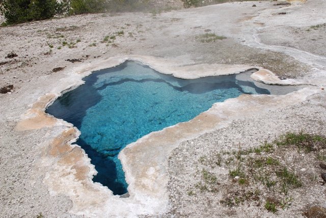 bluestarspring.jpg
