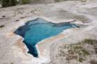 bluestarspring_small.jpg