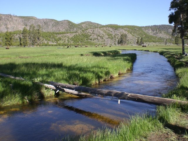 cimg2857.jpg