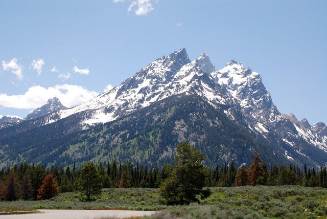 mt.jpg