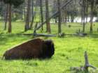 p6210117_small.jpg