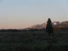 p6240323_small.jpg