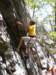 rockclimbingallamuchy6_small.jpg