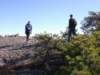 hike102608012_small.jpg