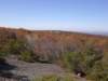 hike102608016_small.jpg