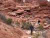 springbreak2008010_small.jpg