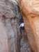 springbreak2008046_small.jpg