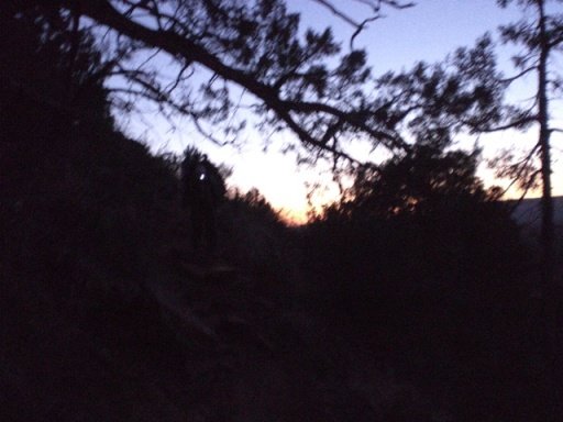 springbreak2008066.jpg