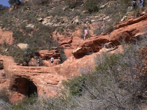 springbreak2008070.jpg