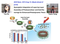 Synergistic Integration of Layer-by-Layer Assembly of Photosensitizer and Gold Nanorings for Enhanced Photodynamic Therapy in the Near Infrared